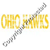 Ohio Hawks Distressed